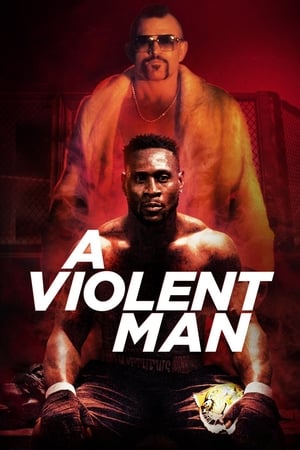 A Violent Man 2017 Hindi Dual Audio 480p WebRip 330MB