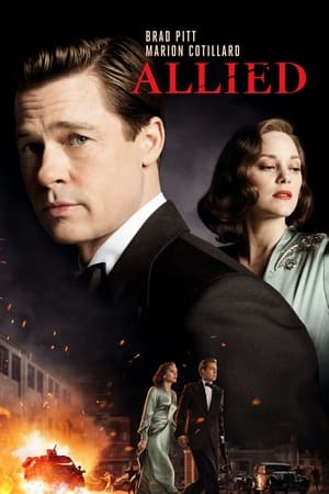 Allied 2016 Hindi Dual Audio 480p BluRay 400MB