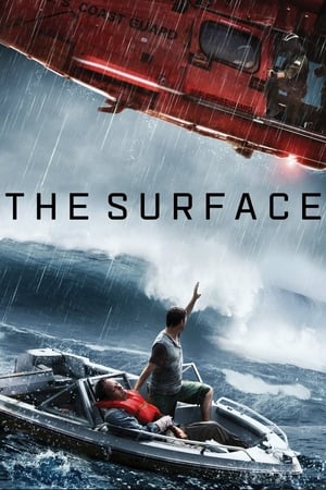 The Surface (2014) Hindi Dual Audio 480p Web-DL 300MB