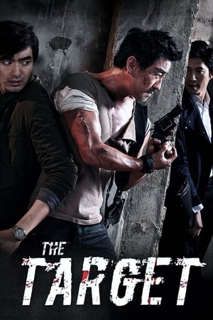 The Target (2014) Hindi Dual Audio 480p Bluray 300MB