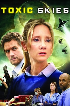 Toxic Skies 2008 Hindi Dual Audio 720p BluRay [950MB]